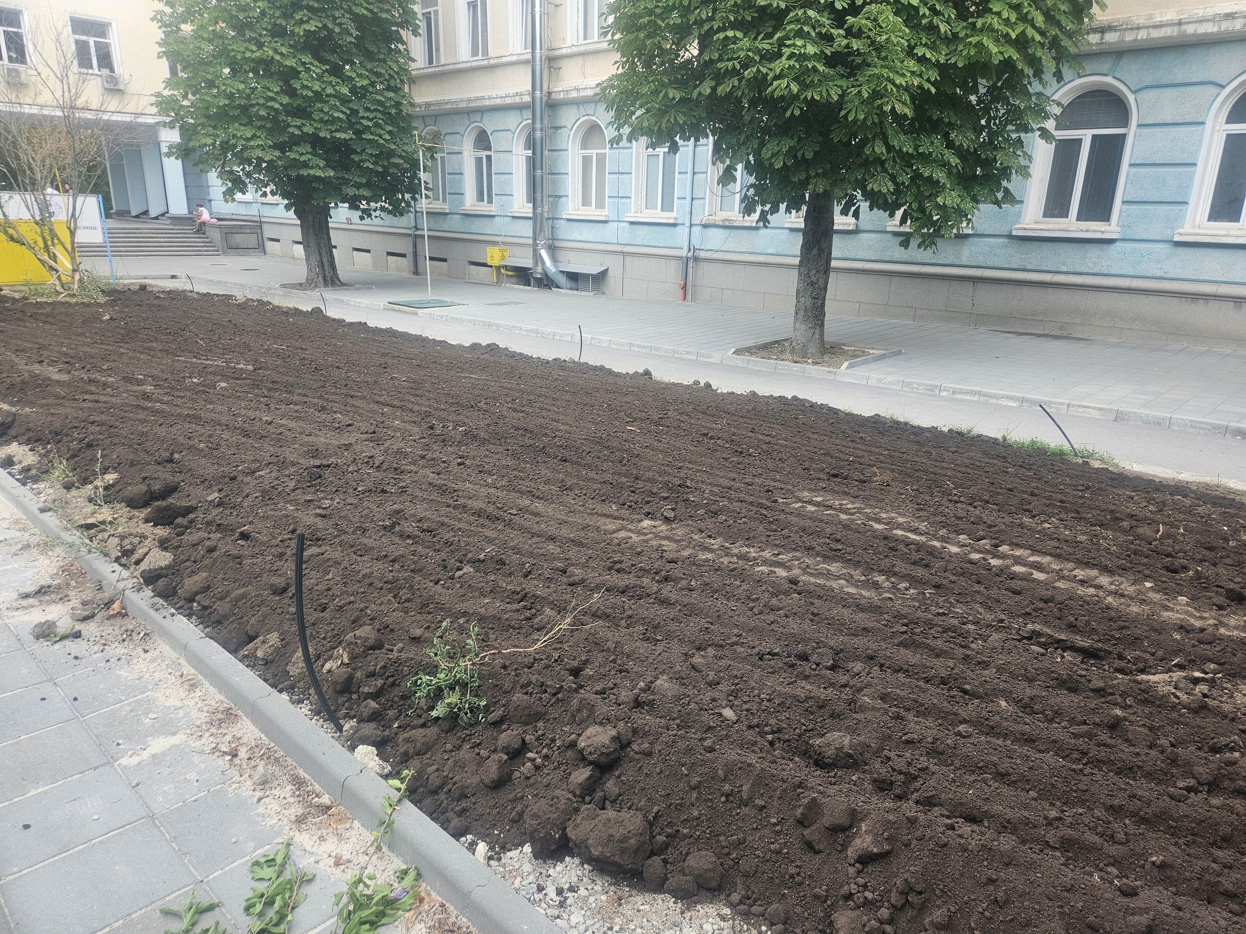 По време — подготвена леха за засаждане и нова плочна алея